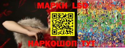 Альфа ПВП Малгобек