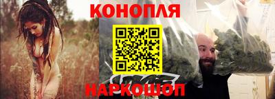 Альфа ПВП Малгобек